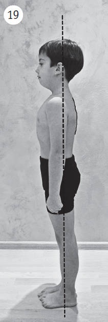 Иллюстрация к книге — Система "Живая осанка". Уникальный курс постановки осанки за 30 дней [Autogen_eBook_id87.jpg]