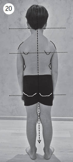 Иллюстрация к книге — Система "Живая осанка". Уникальный курс постановки осанки за 30 дней [Autogen_eBook_id88.jpg]