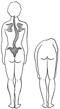 Иллюстрация к книге — Система "Живая осанка". Уникальный курс постановки осанки за 30 дней [Autogen_eBook_id90.jpg]