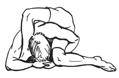 Иллюстрация к книге — Суставы без боли. Курс изометрической гимнастики [i_004.jpg]