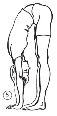 Иллюстрация к книге — Суставы без боли. Курс изометрической гимнастики [i_009.jpg]