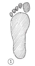 Иллюстрация к книге — Суставы без боли. Курс изометрической гимнастики [i_016.jpg]