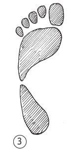 Иллюстрация к книге — Суставы без боли. Курс изометрической гимнастики [i_018.jpg]