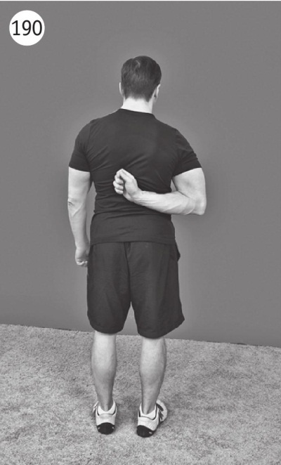 Иллюстрация к книге — Суставы без боли. Курс изометрической гимнастики [i_206.jpg]