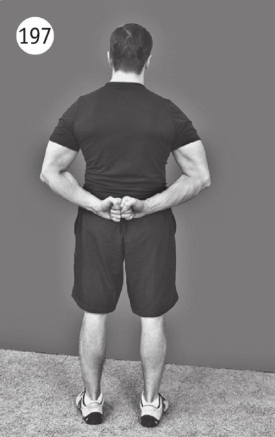 Иллюстрация к книге — Суставы без боли. Курс изометрической гимнастики [i_213.jpg]