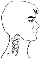 Иллюстрация к книге — Остеохондроз и плоскостопие у мужчин. Супермен и соломинка. Профилактика, диагностика, лечение [_6.jpg]