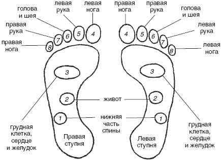 Иллюстрация к книге — Остеохондроз и плоскостопие у мужчин. Супермен и соломинка. Профилактика, диагностика, лечение [_9.jpg]