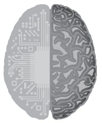 Иллюстрация к книге — Тело как феномен. Разговор с терапевтом [i_017.jpg]