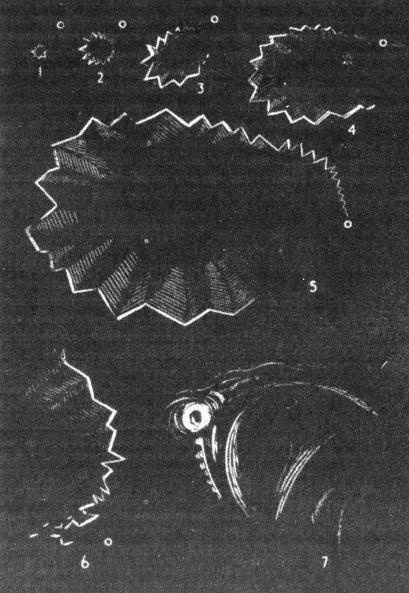 Иллюстрация к книге — Мигрень [i_009.jpg]