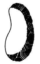 Иллюстрация к книге — Мигрень [i_013.jpg]