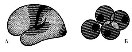 Иллюстрация к книге — Мигрень [i_019.jpg]