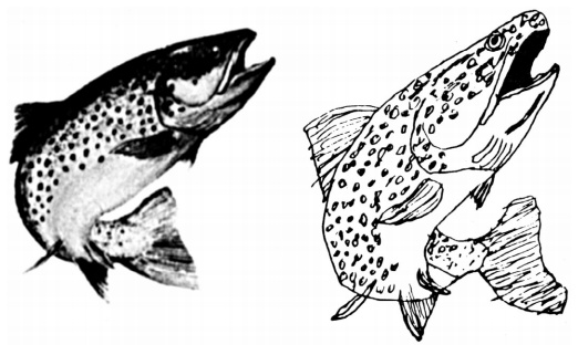 Иллюстрация к книге — Человек, который принял жену за шляпу, и другие истории из врачебной практики [i_009.jpg]