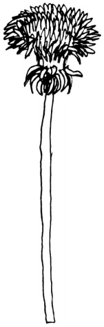 Иллюстрация к книге — Человек, который принял жену за шляпу, и другие истории из врачебной практики [i_013.jpg]