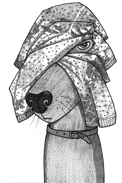 Иллюстрация к книге — Тесты для вашей собаки. Измерь IQ домашнего любимца и пойми его психотип [i_003.jpg]