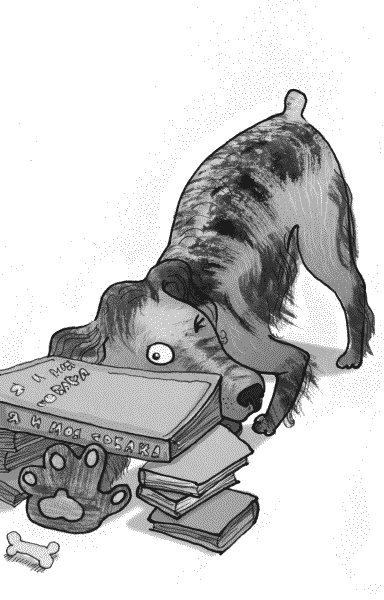 Иллюстрация к книге — Тесты для вашей собаки. Измерь IQ домашнего любимца и пойми его психотип [i_004.jpg]