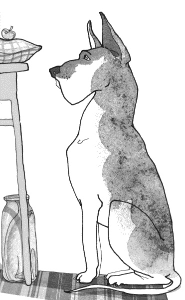 Иллюстрация к книге — Тесты для вашей собаки. Измерь IQ домашнего любимца и пойми его психотип [i_008.jpg]