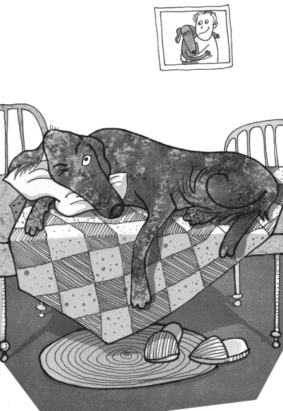 Иллюстрация к книге — Тесты для вашей собаки. Измерь IQ домашнего любимца и пойми его психотип [i_009.jpg]