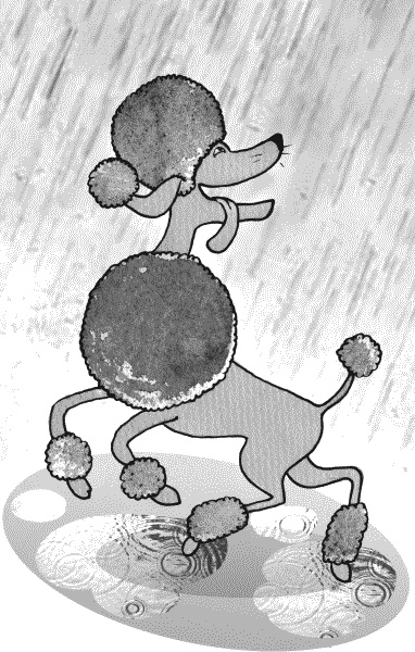 Иллюстрация к книге — Тесты для вашей собаки. Измерь IQ домашнего любимца и пойми его психотип [i_010.jpg]