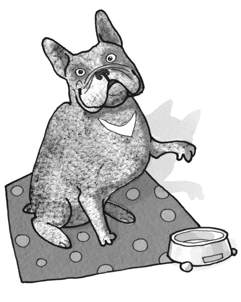 Иллюстрация к книге — Тесты для вашей собаки. Измерь IQ домашнего любимца и пойми его психотип [i_012.jpg]