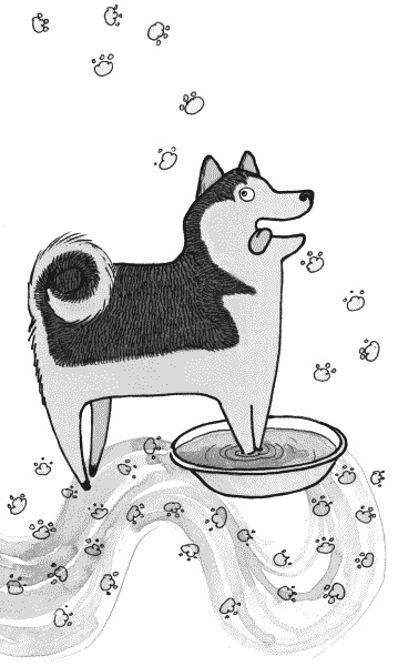 Иллюстрация к книге — Тесты для вашей собаки. Измерь IQ домашнего любимца и пойми его психотип [i_015.jpg]