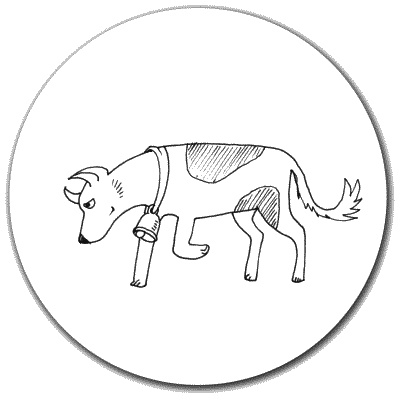 Иллюстрация к книге — Тесты для вашей собаки. Измерь IQ домашнего любимца и пойми его психотип [i_021.jpg]