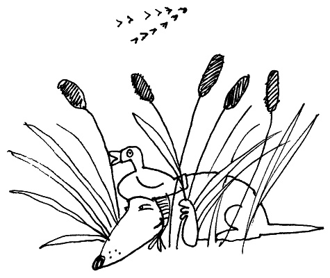 Иллюстрация к книге — Тесты для вашей собаки. Измерь IQ домашнего любимца и пойми его психотип [i_051.jpg]