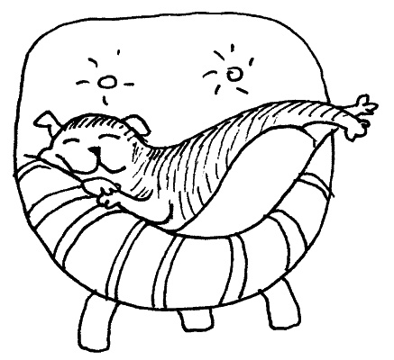 Иллюстрация к книге — Тесты для вашей собаки. Измерь IQ домашнего любимца и пойми его психотип [i_064.jpg]