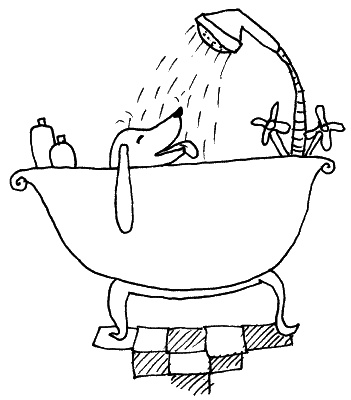 Иллюстрация к книге — Тесты для вашей собаки. Измерь IQ домашнего любимца и пойми его психотип [i_075.jpg]