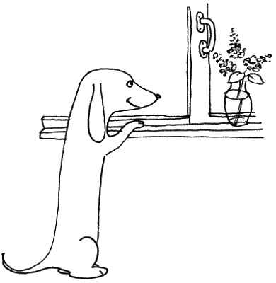 Иллюстрация к книге — Тесты для вашей собаки. Измерь IQ домашнего любимца и пойми его психотип [i_077.jpg]