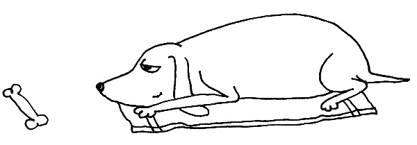 Иллюстрация к книге — Тесты для вашей собаки. Измерь IQ домашнего любимца и пойми его психотип [i_084.jpg]