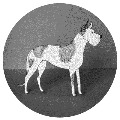 Иллюстрация к книге — Тесты для вашей собаки. Измерь IQ домашнего любимца и пойми его психотип [i_087.jpg]