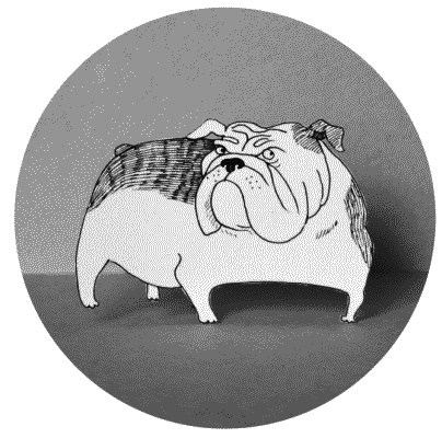 Иллюстрация к книге — Тесты для вашей собаки. Измерь IQ домашнего любимца и пойми его психотип [i_090.jpg]