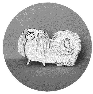 Иллюстрация к книге — Тесты для вашей собаки. Измерь IQ домашнего любимца и пойми его психотип [i_094.jpg]