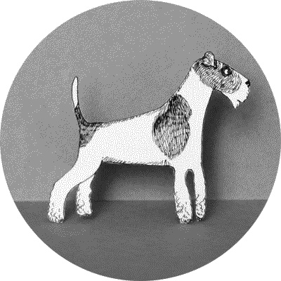 Иллюстрация к книге — Тесты для вашей собаки. Измерь IQ домашнего любимца и пойми его психотип [i_096.jpg]