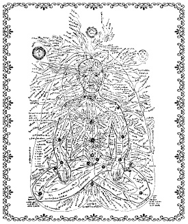 Иллюстрация к книге — Аюрведа. Философия и травы [i_012.jpg]