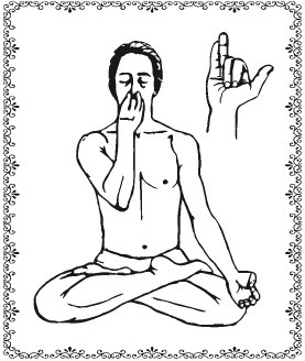 Иллюстрация к книге — Аюрведа. Философия, диагностика, Ведическая астрология [i_010.jpg]