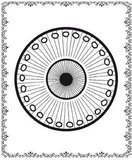 Иллюстрация к книге — Аюрведа. Философия, диагностика, Ведическая астрология [i_019.jpg]