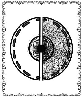 Иллюстрация к книге — Аюрведа. Философия, диагностика, Ведическая астрология [i_023.jpg]