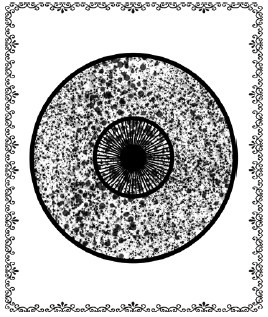 Иллюстрация к книге — Аюрведа. Философия, диагностика, Ведическая астрология [i_025.jpg]