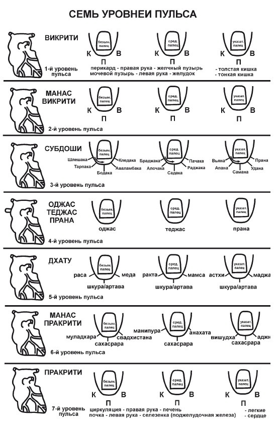 Иллюстрация к книге — Аюрведа. Философия, диагностика, Ведическая астрология [i_031.jpg]