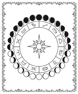 Иллюстрация к книге — Аюрведа. Философия, диагностика, Ведическая астрология [i_037.jpg]