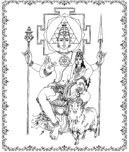 Иллюстрация к книге — Аюрведа. Философия, диагностика, Ведическая астрология [i_041.jpg]