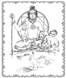 Иллюстрация к книге — Аюрведа. Философия, диагностика, Ведическая астрология [i_043.jpg]