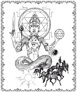 Иллюстрация к книге — Аюрведа. Философия, диагностика, Ведическая астрология [i_046.jpg]