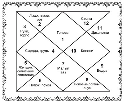 Иллюстрация к книге — Аюрведа. Философия, диагностика, Ведическая астрология [i_051.jpg]