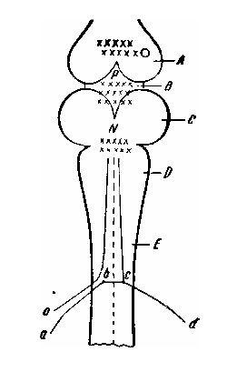 Иллюстрация к книге — Элементы мысли [img_1.jpg]