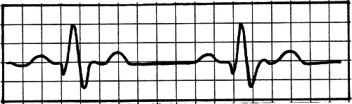 Иллюстрация к книге — Анализы и диагнозы. Это как же понимать? [_107.jpg]