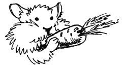 Иллюстрация к книге — Анализы и диагнозы. Это как же понимать? [_221.jpg]