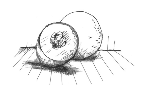 Иллюстрация к книге — Супер сердце. Революционное исследование о связи сердечно-сосудистой системы и питания [i_007.jpg]