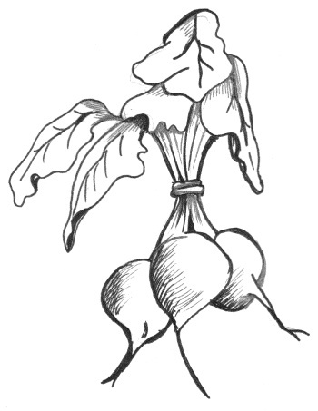 Иллюстрация к книге — Супер сердце. Революционное исследование о связи сердечно-сосудистой системы и питания [i_008.jpg]